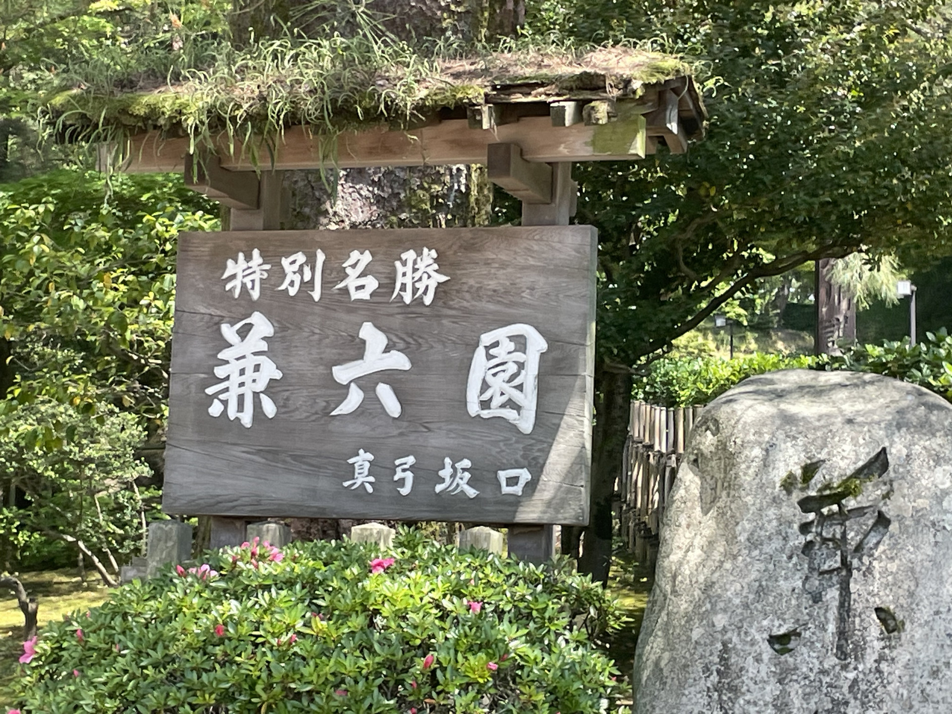 画像 -20260519-040427-7cb5f0b3